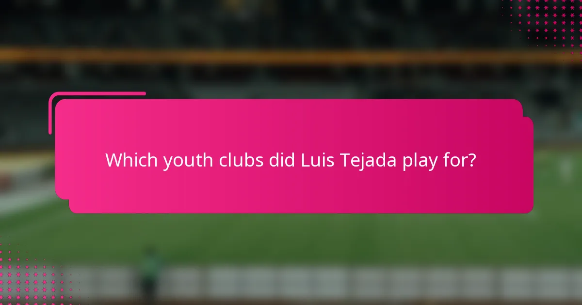Which youth clubs did Luis Tejada play for?